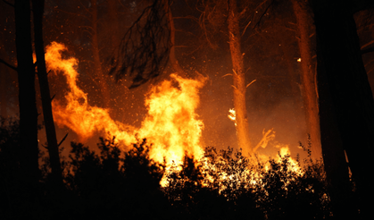 Antalya Aksu’da Orman Yangını Kâbusu: Alevler Yerleşim Alanına Yaklaşıyor!