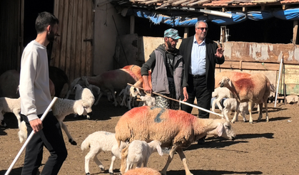 Yozgat’ta sertifikalı Afgan çoban göreve başladı