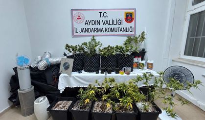 Kuşadası’nda Skunk yetiştirilen eve baskın!