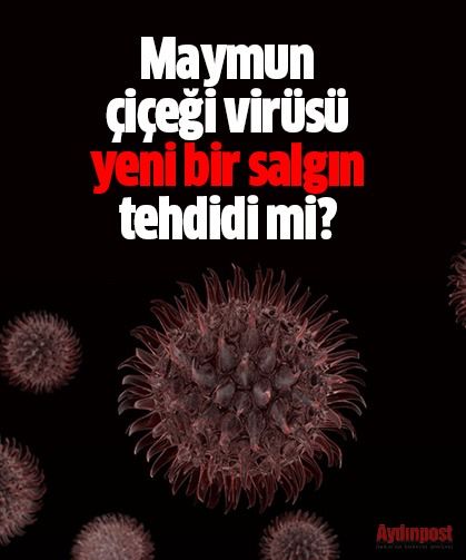 Maymun çiçeği virüsü yeni bir salgın tehdidi mi?