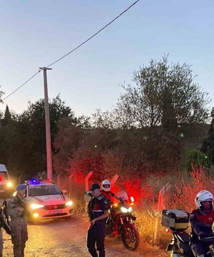 Jandarma, incir hırsızlarına geçit vermiyor