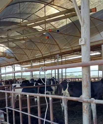 Söke’de hastalıktan ari işletmeler denetlendi