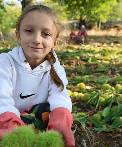 Aydın’ın dağlarında hareketlilik başladı, kestane üreticilerini hasat telaşı sardı