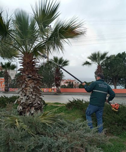 Kuşadası Belediyesi Daha Yeşil, Daha Temiz Bir Kent İçin Çalışıyor.
