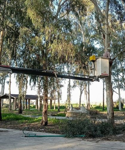 Tepecik Mesire Alanı yenileniyor