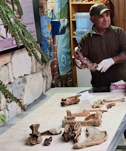 Kuşadası kıyılarında fırtına sonrası ortaya çıkan kemikler incelendi