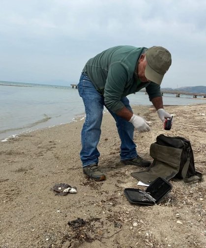 Kuşadası'nda iki deniz kaplumbağası ölü bulundu