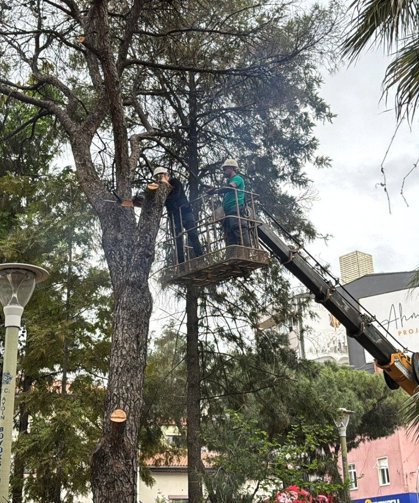 Efeler'de parklar daha güvenli hale geliyor