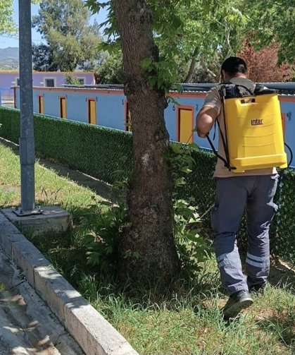 Kene için erken çözüm hamlesi