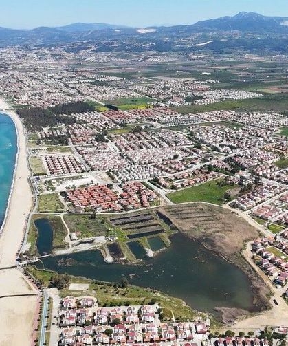 Aydın kıyıları deniz kaplumbağaları için yeni yuvalama merkezi oldu