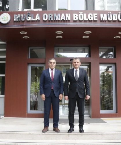 Aydın'da kestane ağaçları biyolojik mücadele ile korunuyor