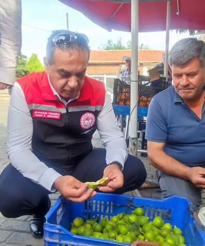 Kaliteli incir için ilek denetimleri sürüyor