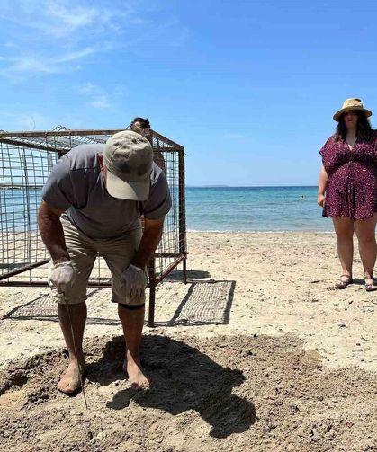 Aydın'da yılın ilk Caretta Caretta yuvası tespit edildi