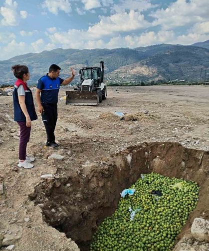Bozdoğan'da hastalıklı ilekler imha edildi