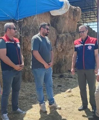 Çine'de üreticiye 30 baş etçi düve desteği