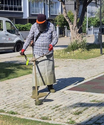 Efeler'de yeşil alanlarda yaz temizliği