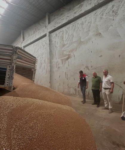 Koçarlı'da ilk hububat alımı gerçekleştirildi