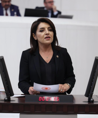 Gülcan Kış: "Vatandaş artık geleceğini planlamıyor"