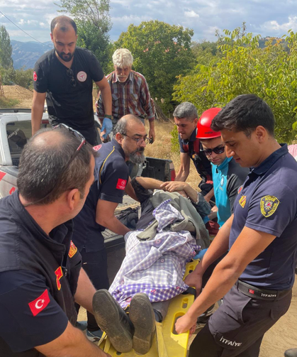 Nazilli’de ceviz ağacından düşen yaşlı adam yaralandı