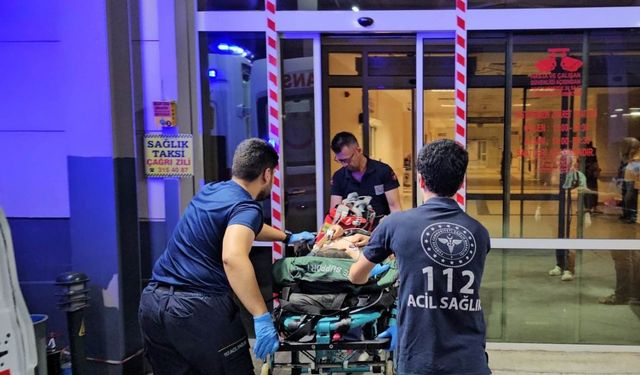 Bozdoğan'dan acı haber geldi! Kanala düşen anne ve kızı öldü