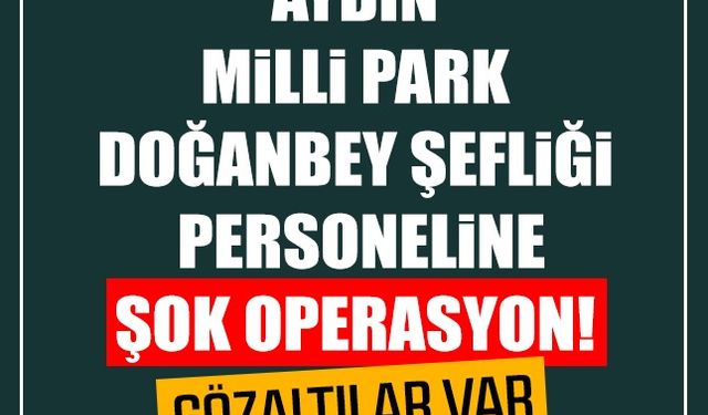 Aydın Milli Park Doğanbey Şefliğine operasyon! 28 gözaltı var
