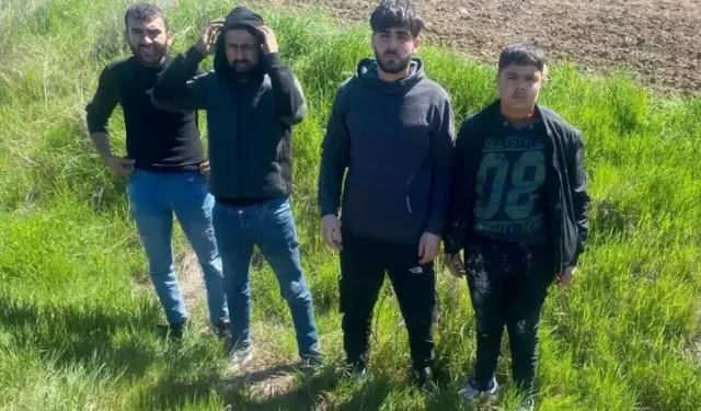 Edirne'de jandarma 4 kaçak göçmeni yakaladı
