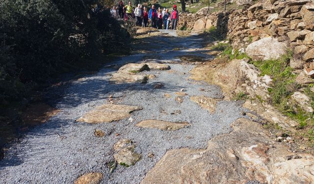 Aydın'da tarih katledildi! Antik yola beton döktüler