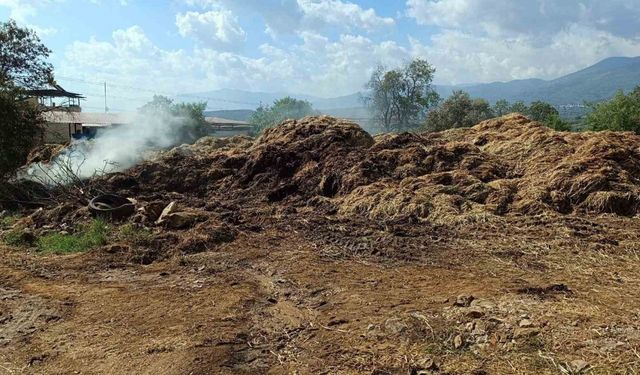 Bozdoğan’da 70 ton saman yandı