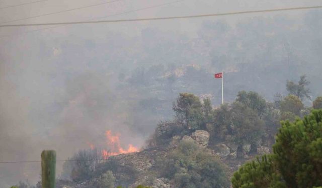 Germencik'te dağ taş yandı, Türk bayrağı alevlerden korundu