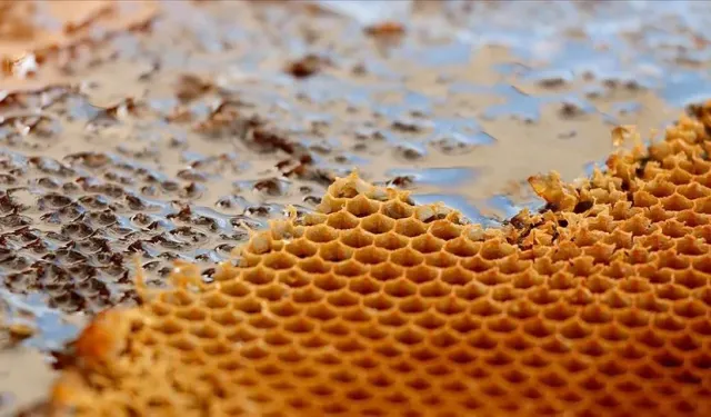 Bakanlık Tek Tek İfşa Etti:Taklit ve Tağşiş Listesine 1 Günde 11 Bal Markası Eklendi