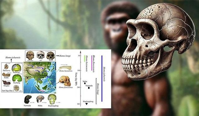 Yeni bir insan türü keşfedildi: Homo juluensi