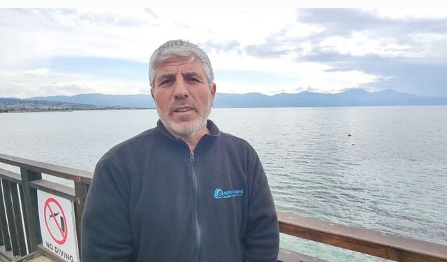 Denizden yüzerek çıkan yaban domuzu şaşırttı