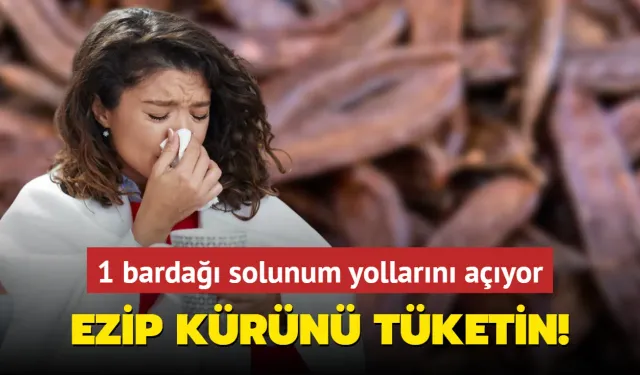 Ezip kürünü tüketin! 1 bardağı solunum yollarını hortum gibi açıyor