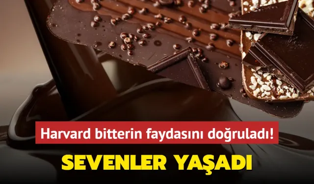 Harvard araştırmacıları doğruladı! Her gün bitter çikolata yiyen…
