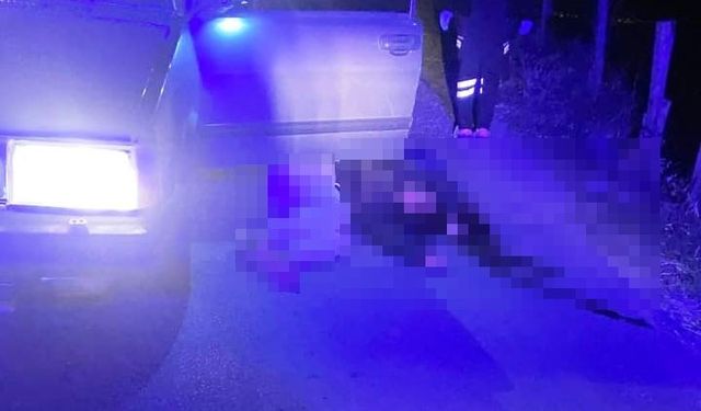 Bozdoğan’da Bir Kadın Başından Silahla Vurulmuş Halde Bulundu