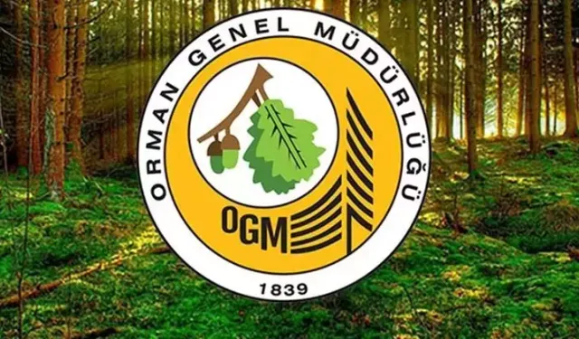 OGM işçi alımı kura sonuçları hangi iller açıklandı? OGM 4.500 işçi alımı kura sonucu sorgulama ekranı! OGM KURA SONUÇLARI AÇIKLANAN İLLER