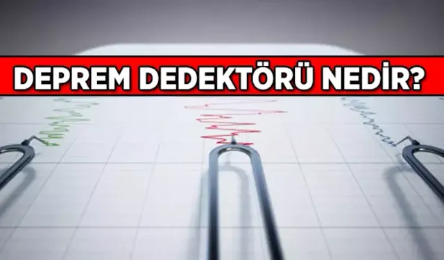Deprem Dedektörü Nedir? Deprem Sensörü Ne İşe Yarar?