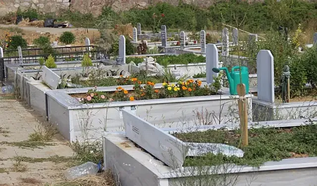 Zeynep Üre Kimdir, Neden Öldü?