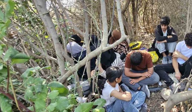 Didim’de 17 düzensiz göçmen yakalandı