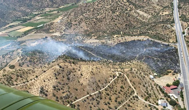 Zeytinlik Alev Aldı, Ekipler Seferber Oldu: Aydın'da Yangın Paniği