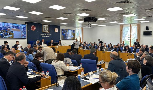Tartışmalı 'zeytinlik' maddesi, TBMM Sanayi Komisyonu'nda kabul edildi