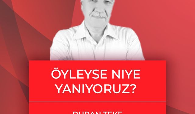 Duran Teke yazdı: Öyleyse Niye Yanıyoruz?