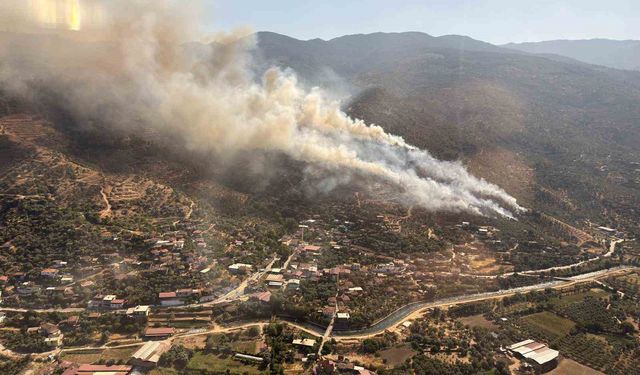 Bozdoğan'da orman yangını