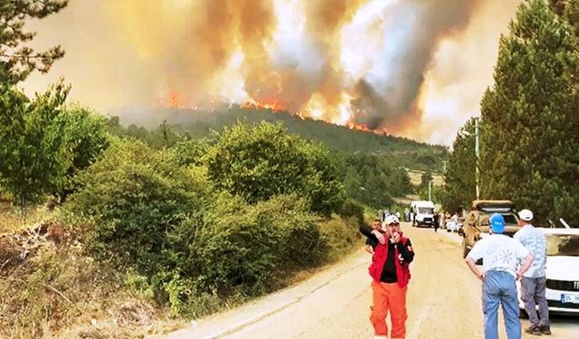 ‘Bursa'daki yangında 10 bin stadyum alanı yandı’