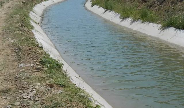 Köşk'teki sulama kanalında endişe verici görüntüler