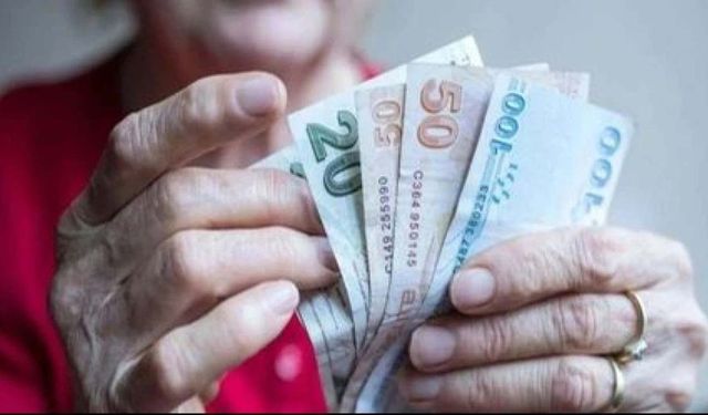 Emekli kuru ekmeğe muhtaç hale geliyor