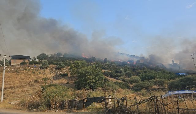 Çine'de yangın büyümeden söndürüldü