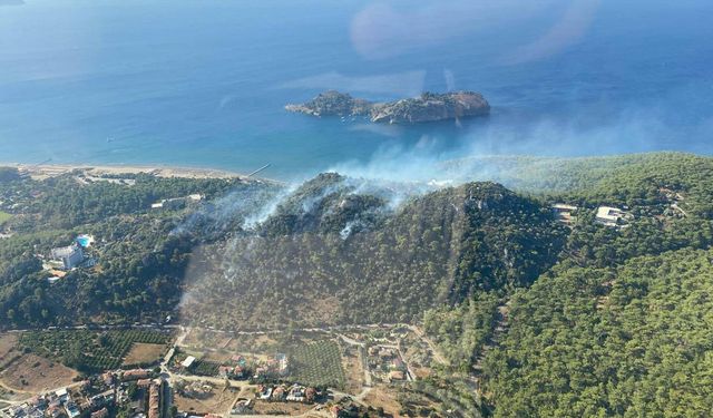 Muğla'da orman yangını