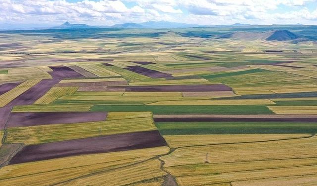 Tarla sahipleri dikkat: Boş kalan tarlalar kiralanacak