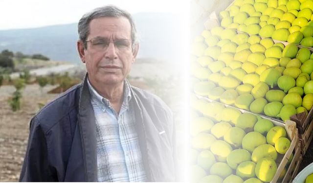 Özdamar: İncir, kilosu 250 liradan tezgâhlarda yerini aldı